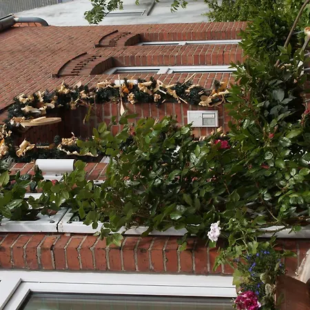 Luettje Meermaid Borkum