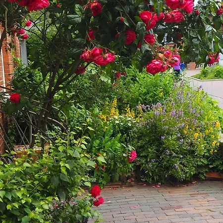 Luettje Meermaid Guest house