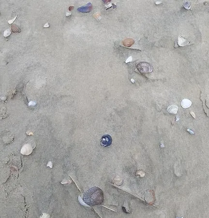 Luettje Meermaid Guest house 4*