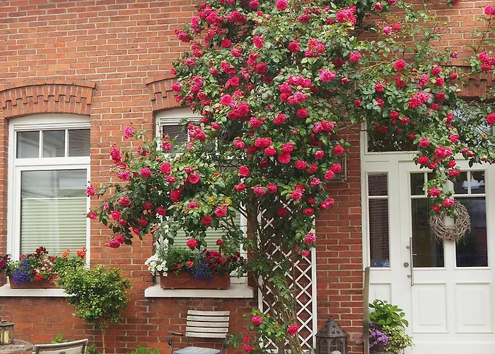 Luettje Meermaid 4* Боркум