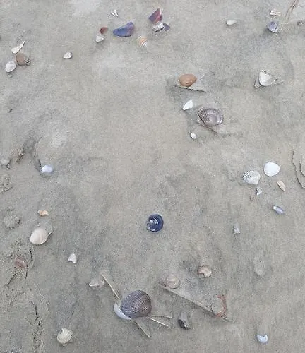 Luettje Meermaid Гостевой дом 4*